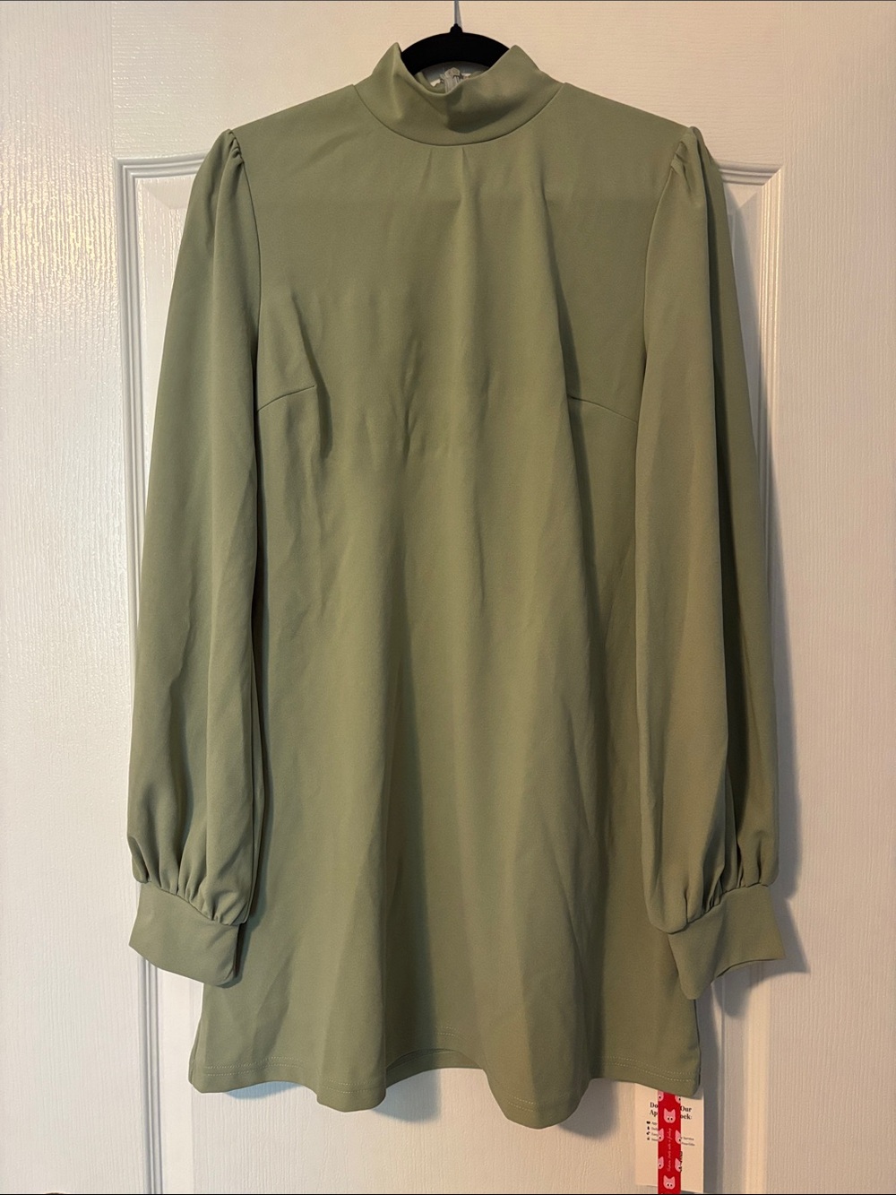 CIDER High-Neck Long Sleeve Dress in Sage Green